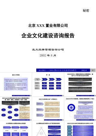 某公司企业文化建设咨询报告