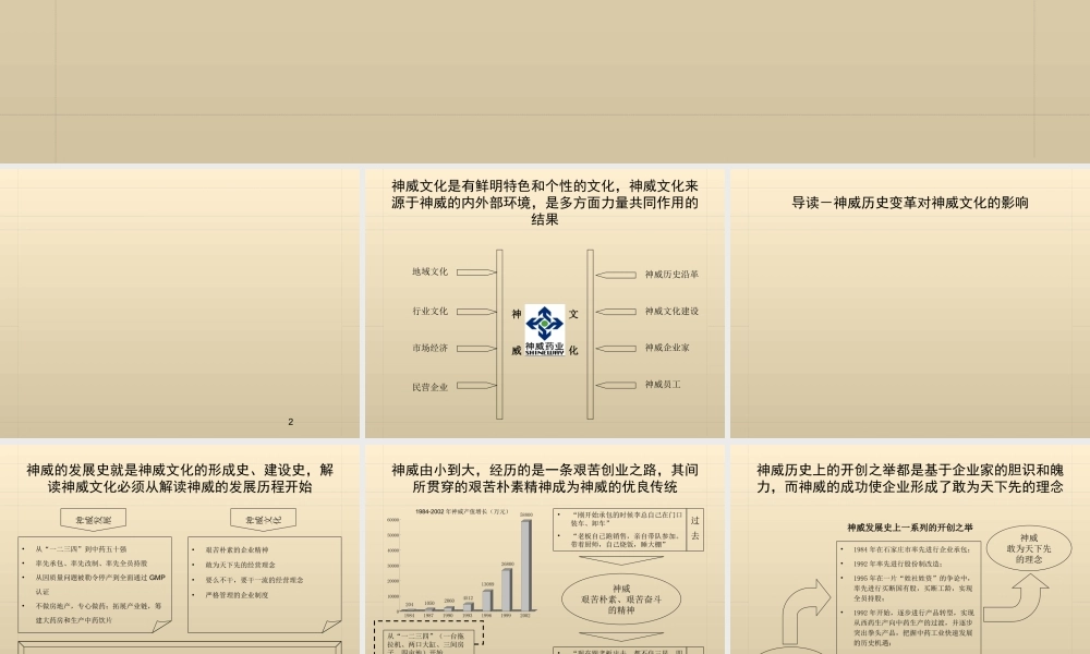 神威药业企业文化诊断报告