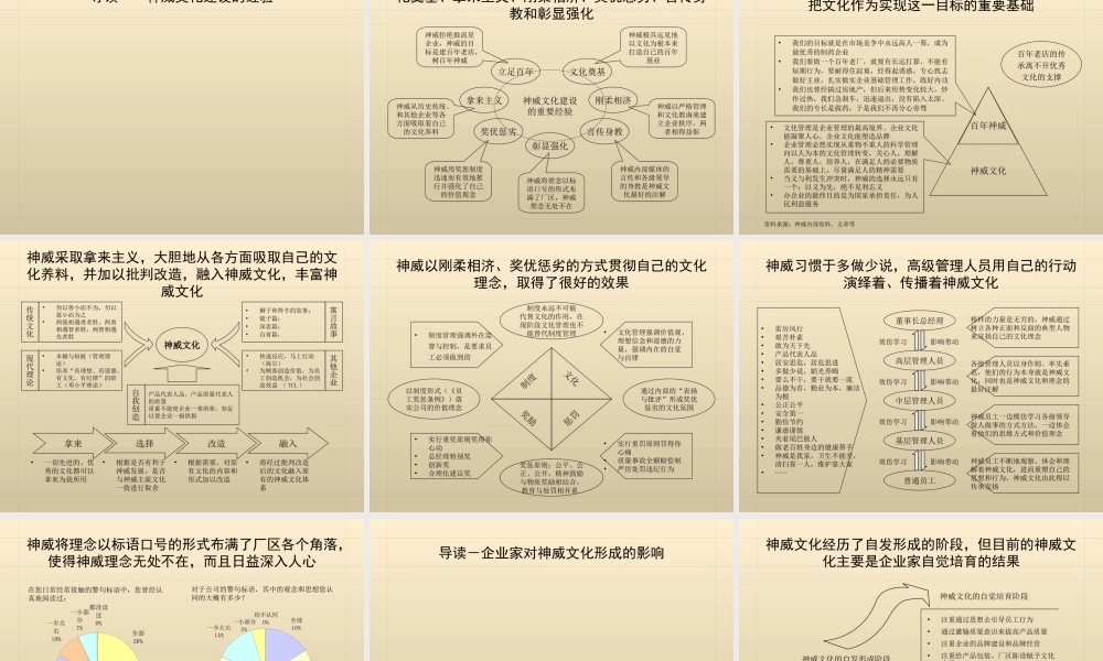 神威药业企业文化诊断报告