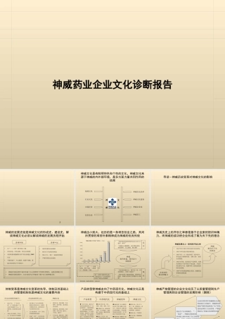 神威药业企业文化诊断报告