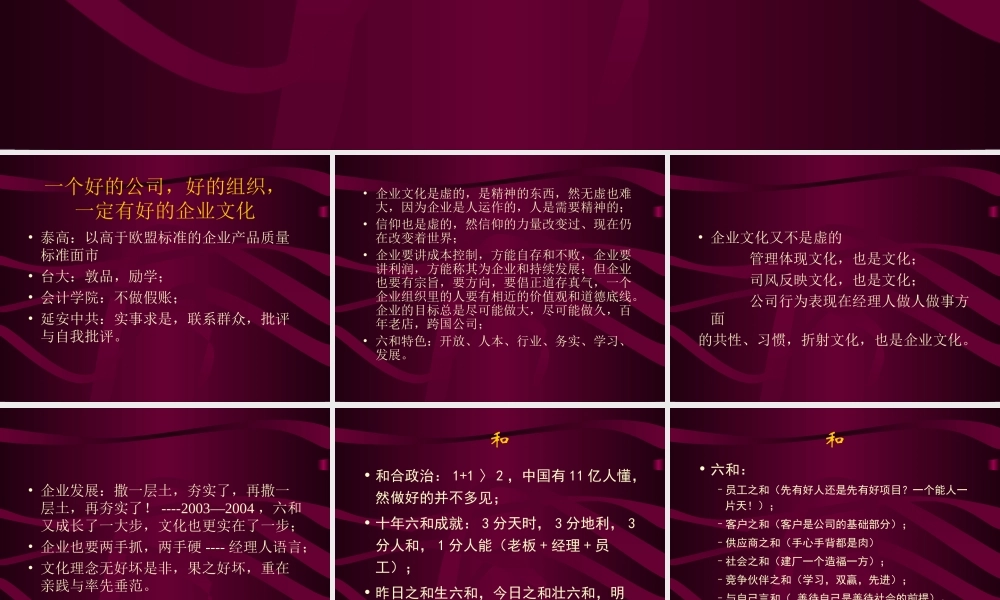 《六和集团企业文化》-19页