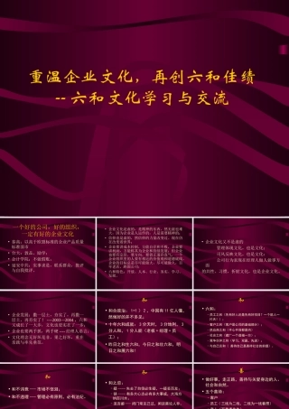 《六和集团企业文化》-19页