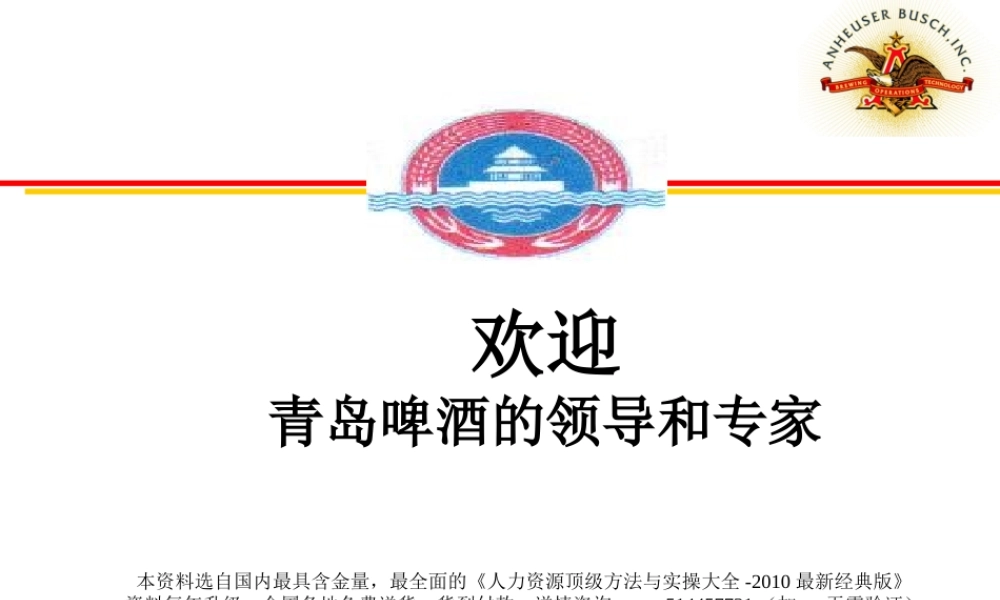 【案例分析】安盛-百威-企业文化分析报告