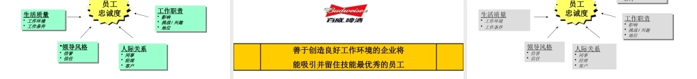 【案例分析】安盛-百威-企业文化分析报告