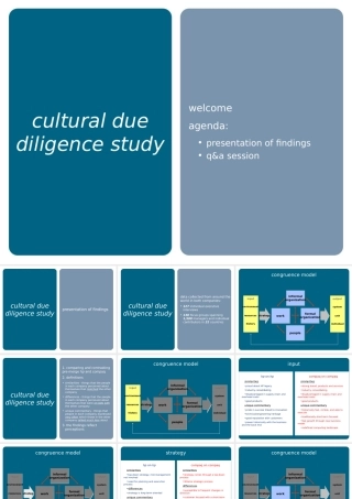 【案例分析】惠普—康柏企业文化整合方案-29页 英文