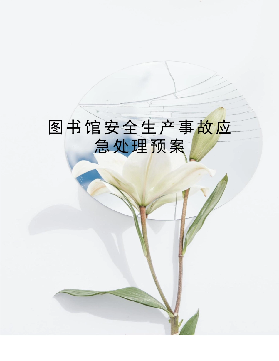 图书馆安全生产事故应急处理预案_第1页