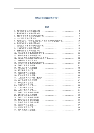 安全生产应急处置卡模板（常见事故）