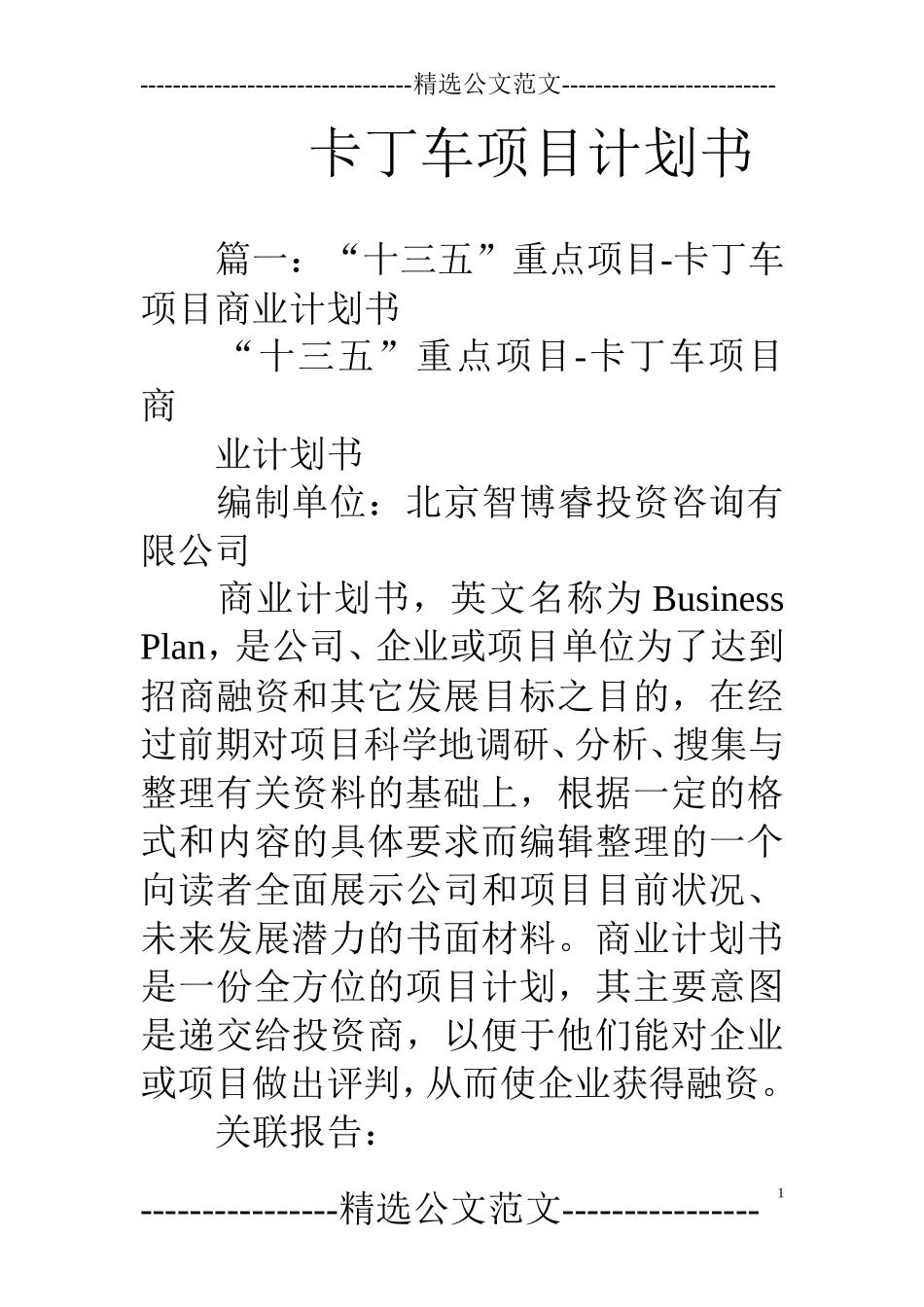 卡丁车项目计划书_第1页