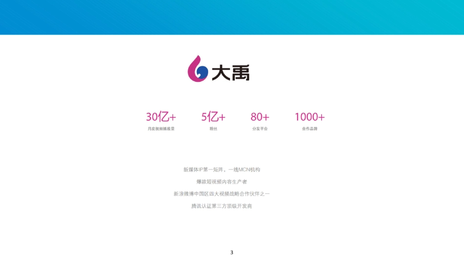 MCN案例及模式分析ppt课件_第3页