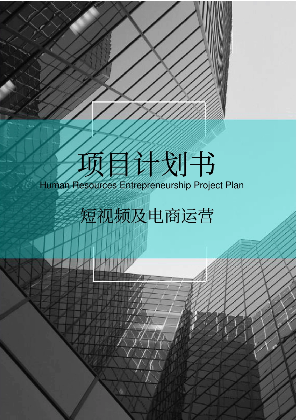 短视频及电商运营项目融资商业计划书_第1页