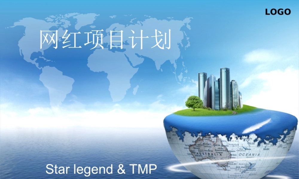 网红项目计划书