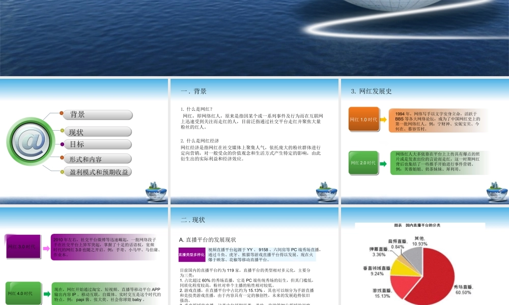 网红项目计划书