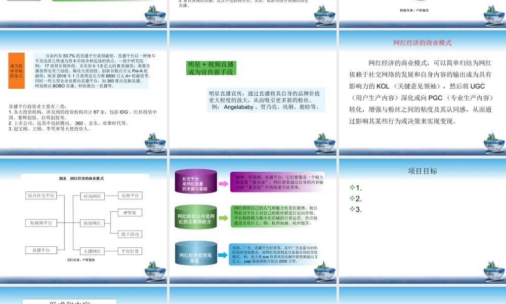 网红项目计划书