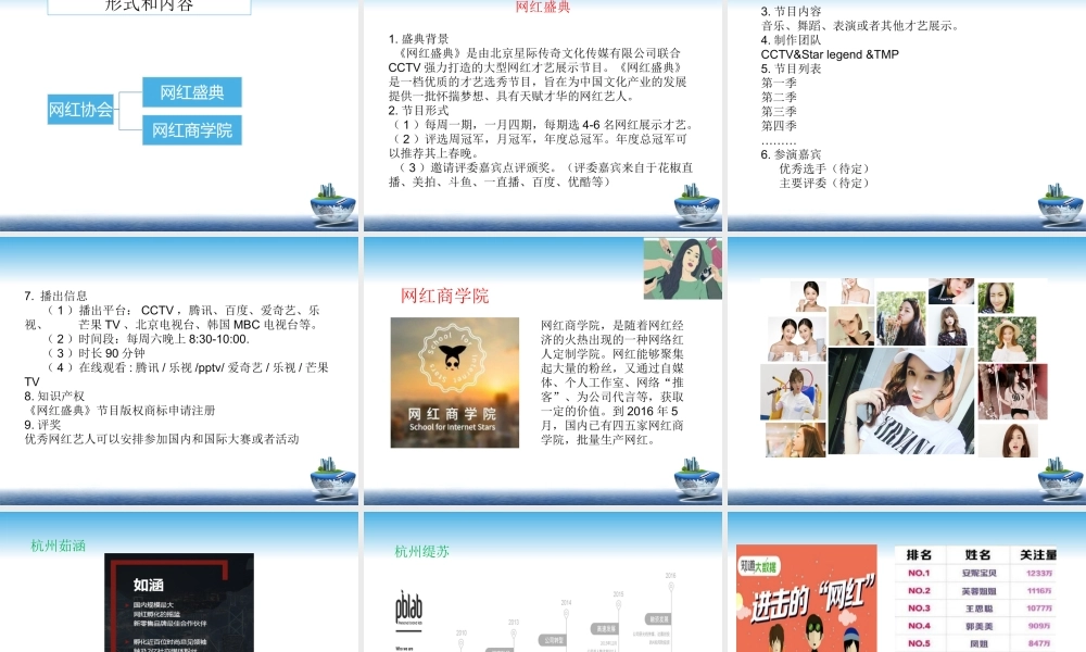 网红项目计划书