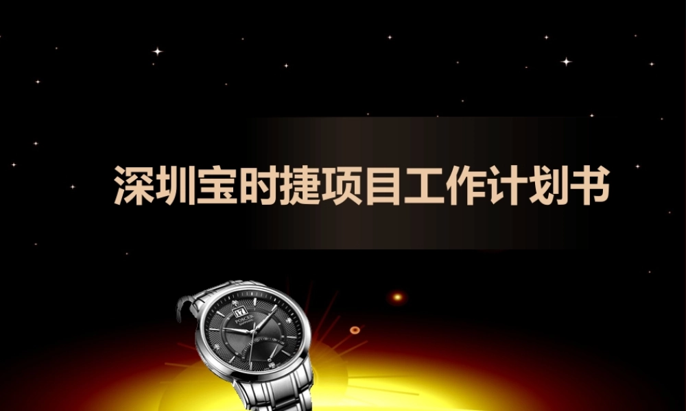 宝时捷手表项目工作计划书