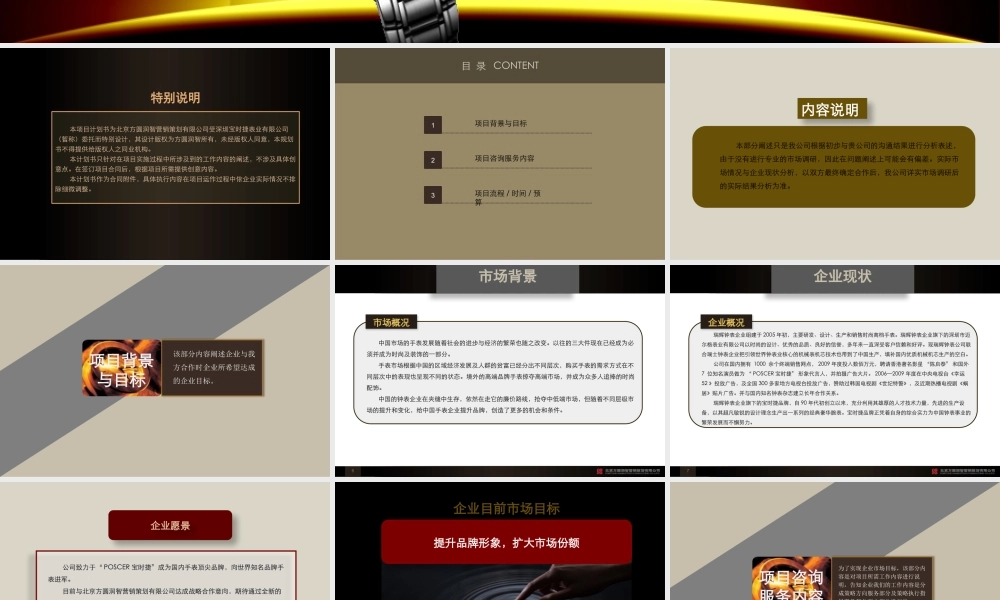 宝时捷手表项目工作计划书