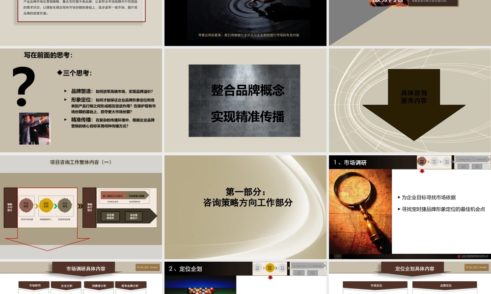 宝时捷手表项目工作计划书