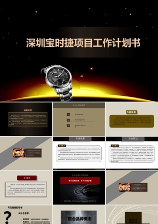 宝时捷手表项目工作计划书