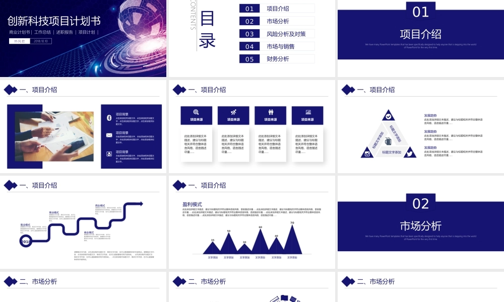 创新科技项目计划书模板【顶级版】