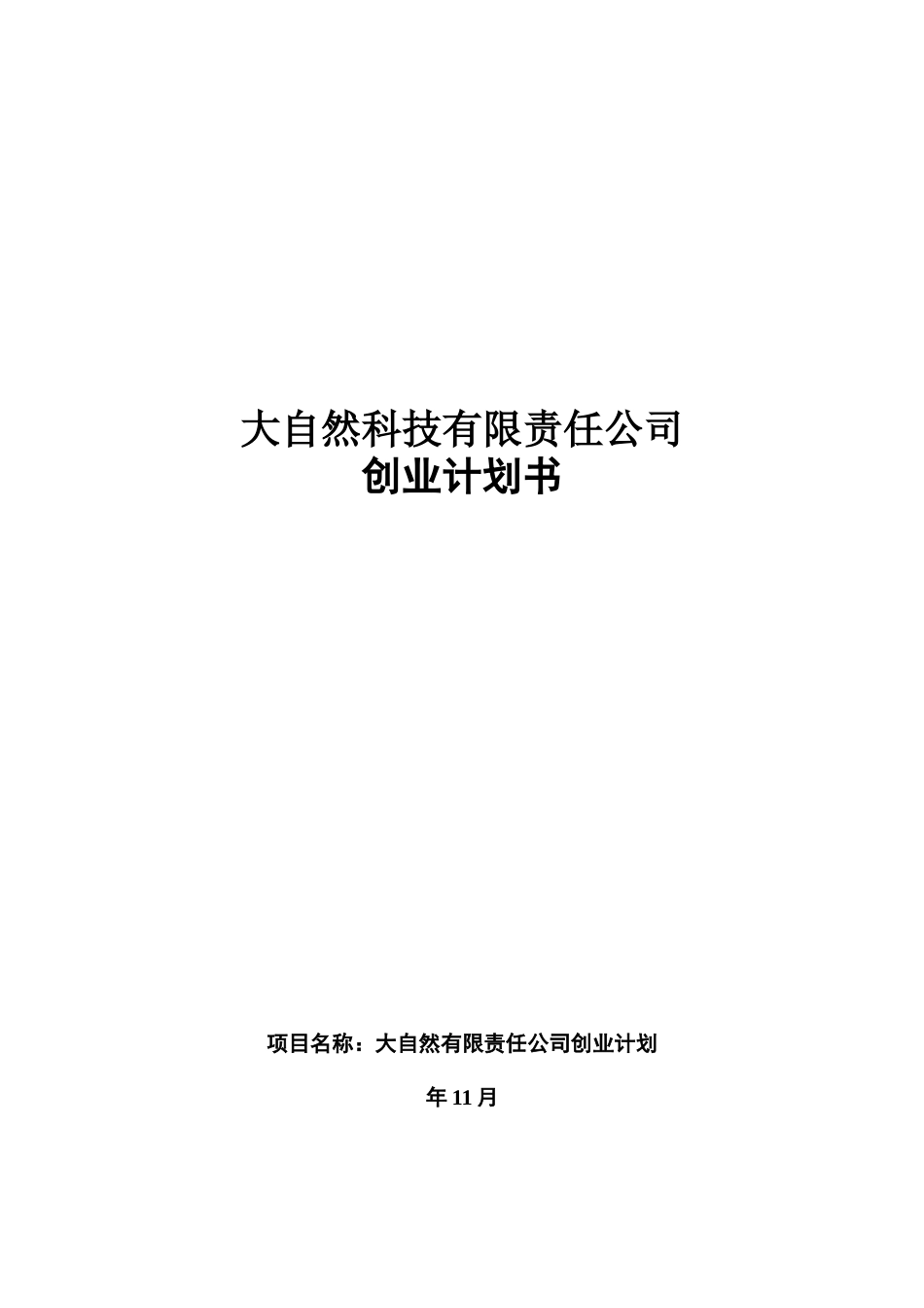风云炫彩系列便携式空气净化器创业计划书_第1页