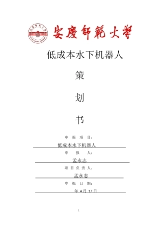 水下机器人创业策划书