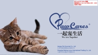 柏可心宠物食品商业计划书