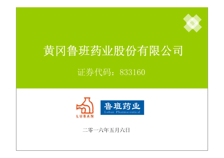 鲁班药业商业计划书_第1页