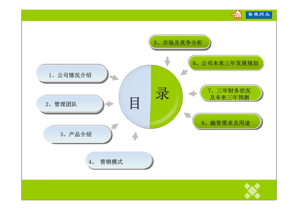 鲁班药业商业计划书_第2页