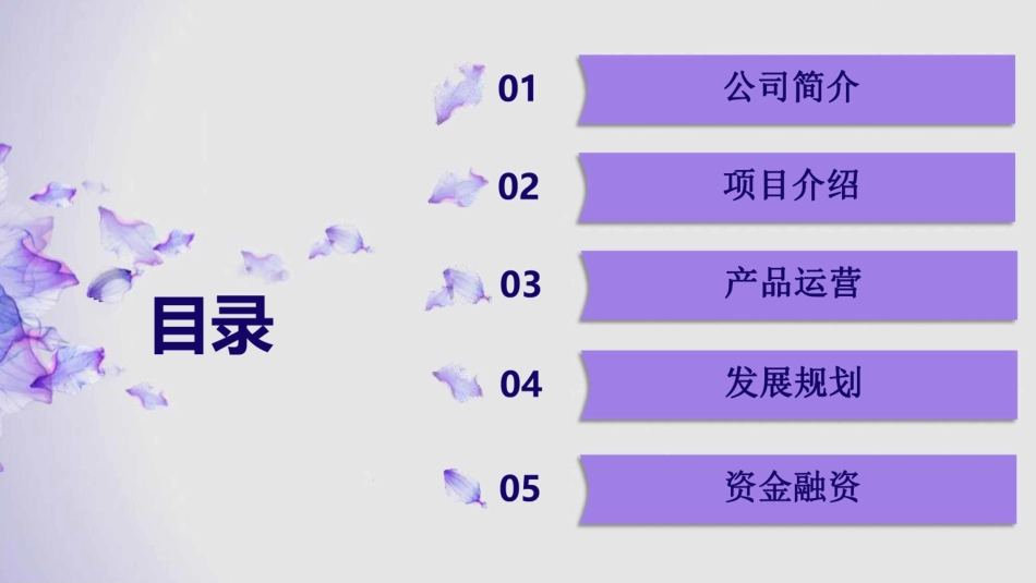 《懂车帝》APP项目-打造汽车生活生态圈 一站式汽车撮合交易平台商业计划书【最终版】_第2页