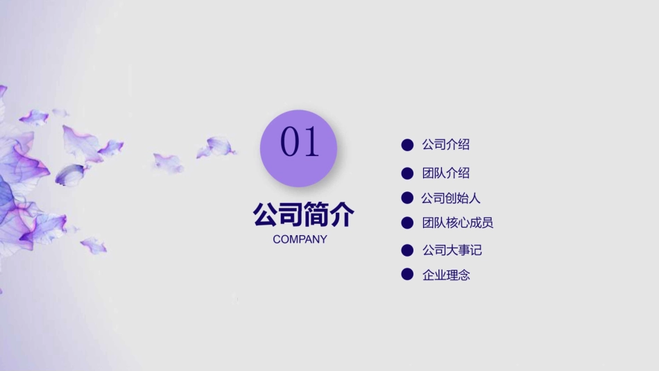 《懂车帝》APP项目-打造汽车生活生态圈 一站式汽车撮合交易平台商业计划书【最终版】_第3页