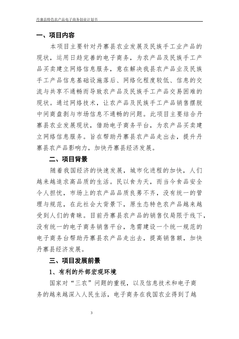 丹寨县农村电子商务创业计划书文案_第3页