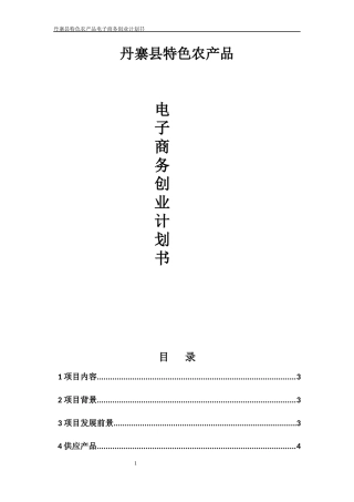丹寨县农村电子商务创业计划书文案