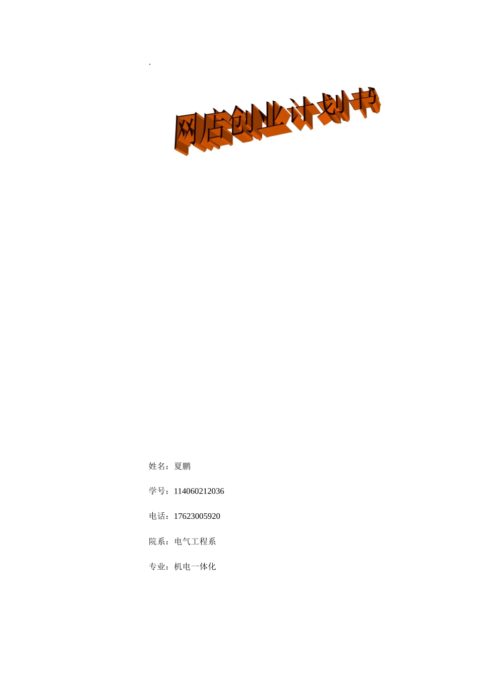 电子商务服装创业计划书_第1页