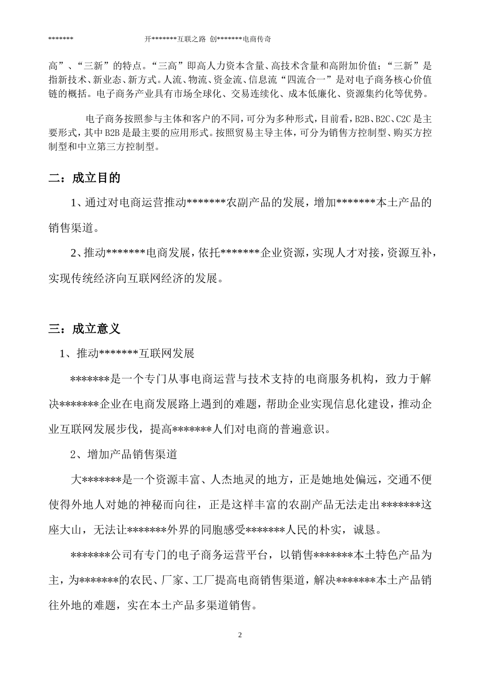 电子商务公司项目创业计划书_第3页