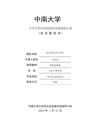 红蓝紫创新创业项目策划书最终版