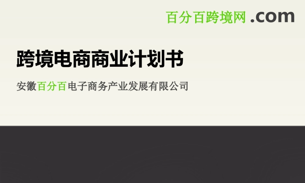 跨境电商商业计划书