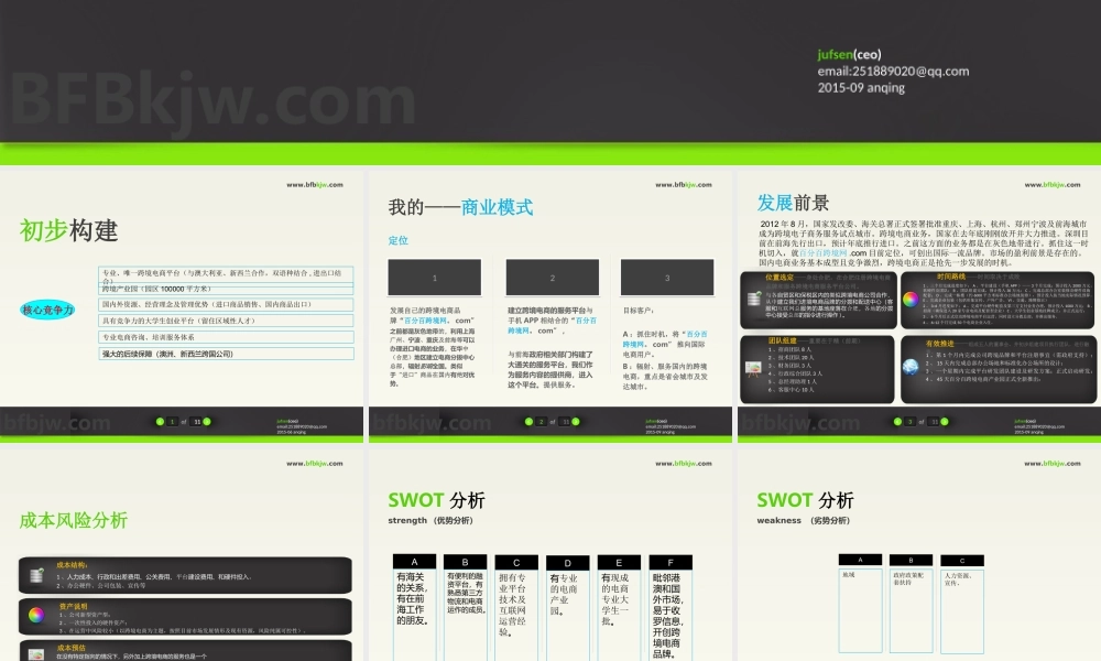 跨境电商商业计划书