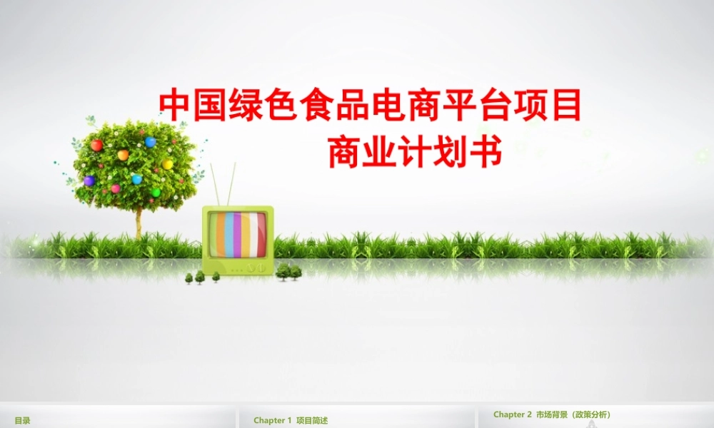 绿色食品电商平台项目商业计划书