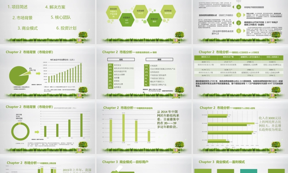 绿色食品电商平台项目商业计划书