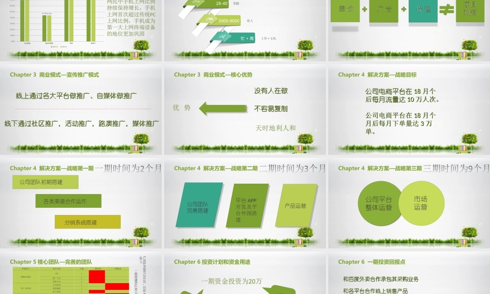 绿色食品电商平台项目商业计划书