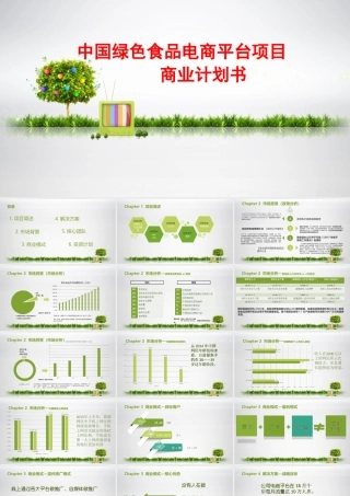 绿色食品电商平台项目商业计划书