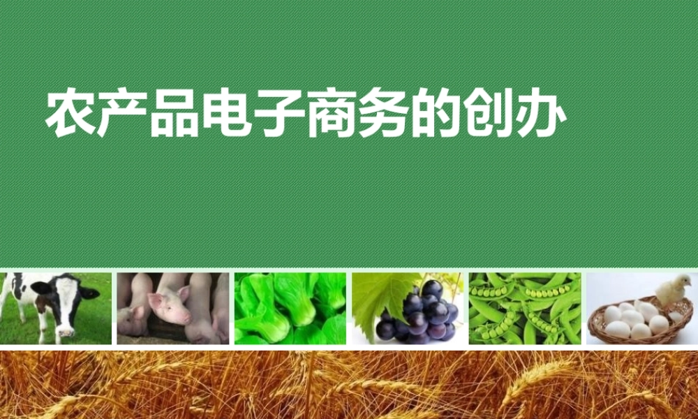 农产品电子商务