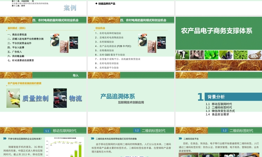 农产品电子商务