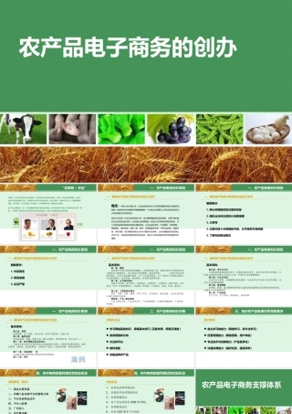 农产品电子商务