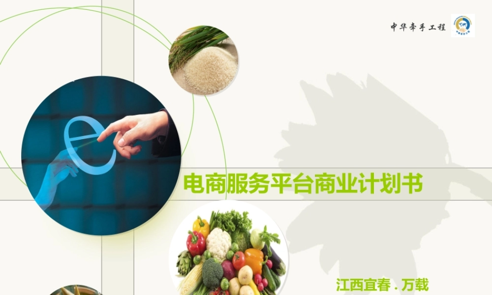 农村电商平台商业计划书