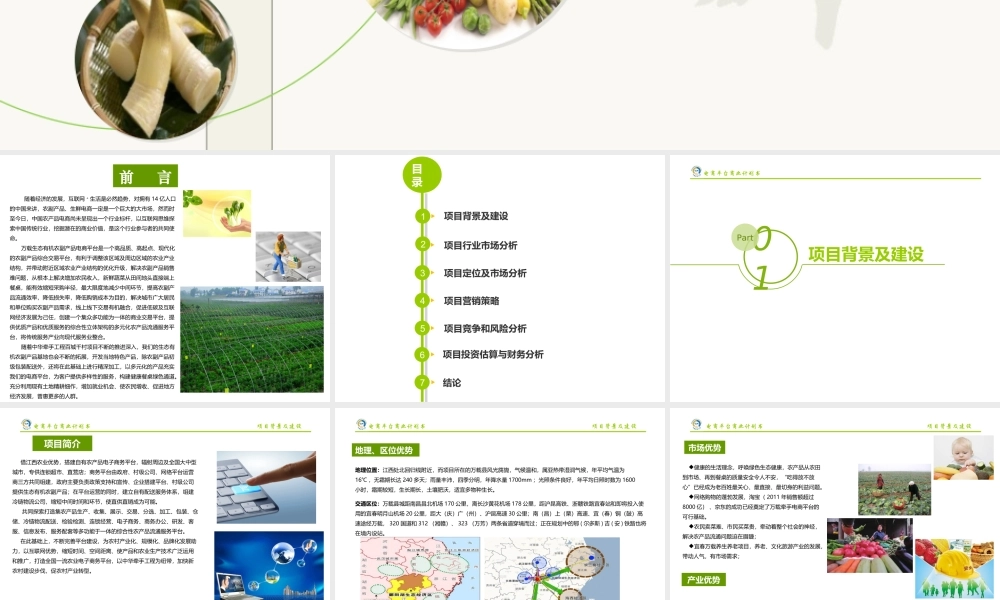 农村电商平台商业计划书