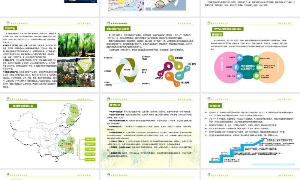 农村电商平台商业计划书