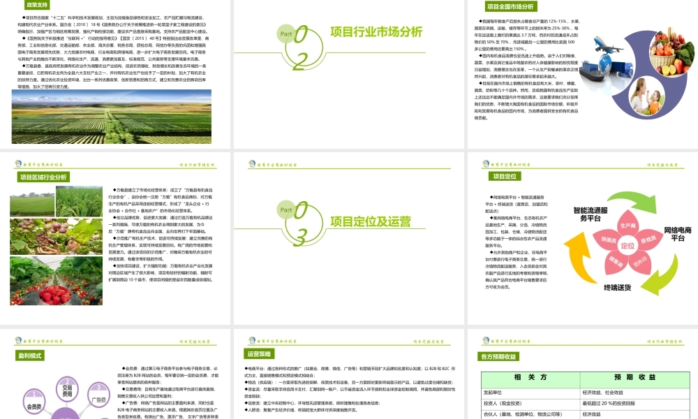 农村电商平台商业计划书