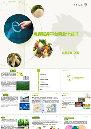 农村电商平台商业计划书