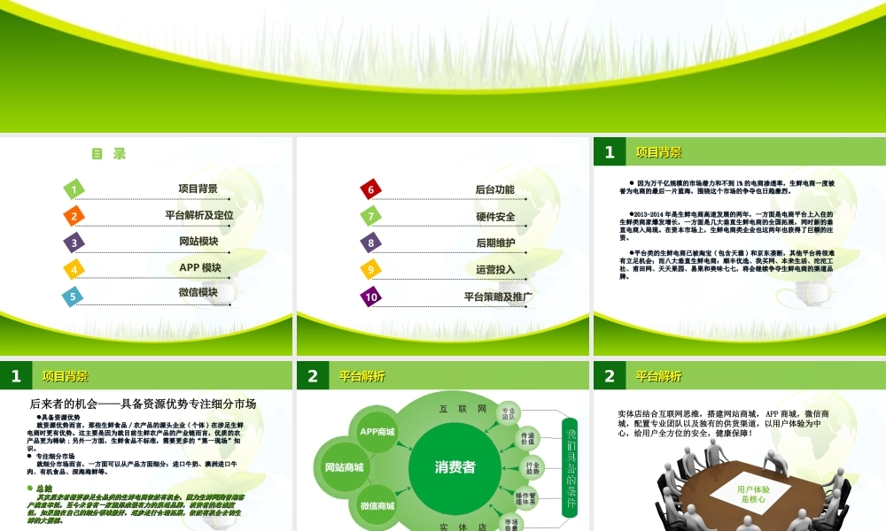 生鲜商城平台商业计划书